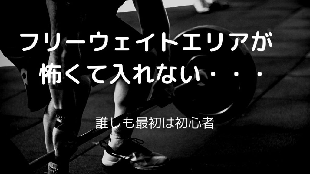 フリーウェイトエリアが怖い 筋トレ初心者でも大丈夫 解決策あり しょうぞうブログ